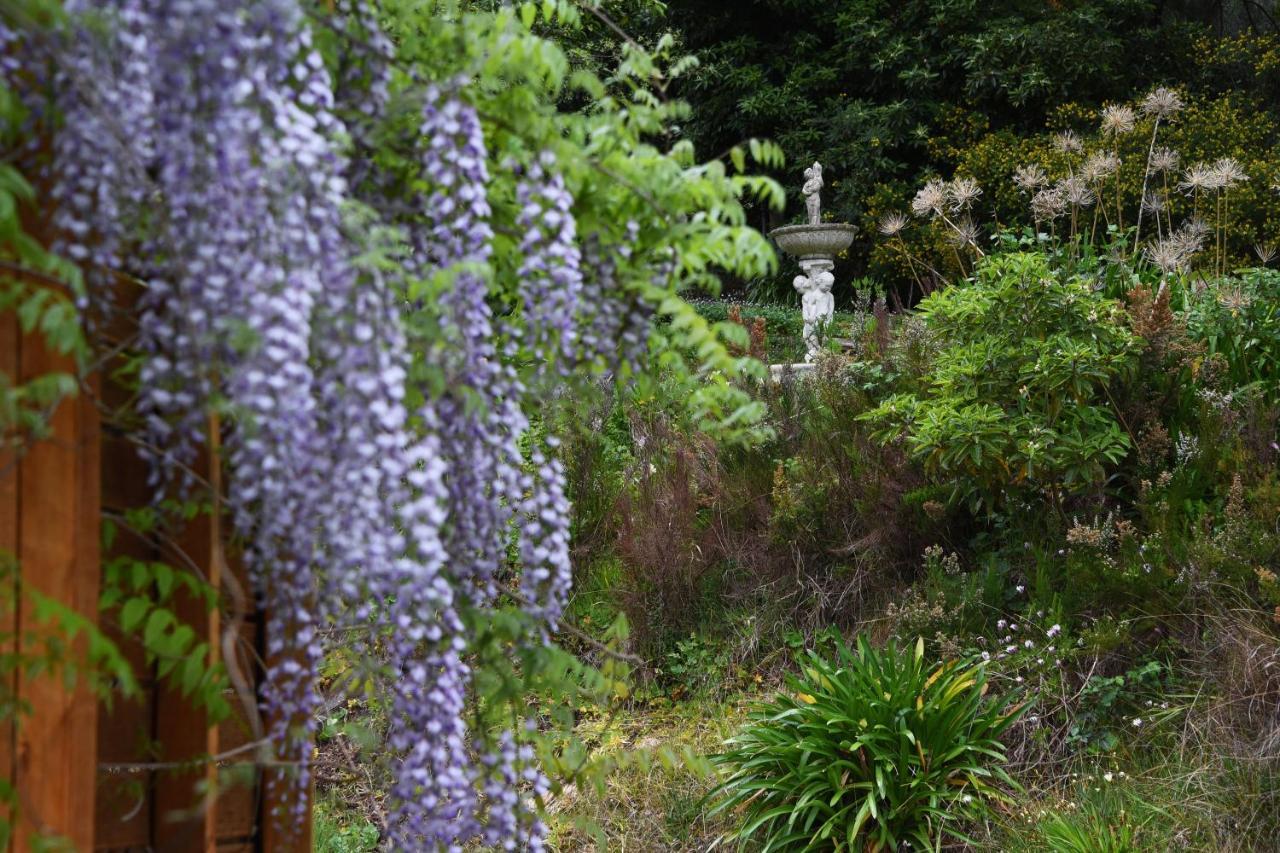 Yarra Ranges Country Apartment Mount Evelyn Extérieur photo