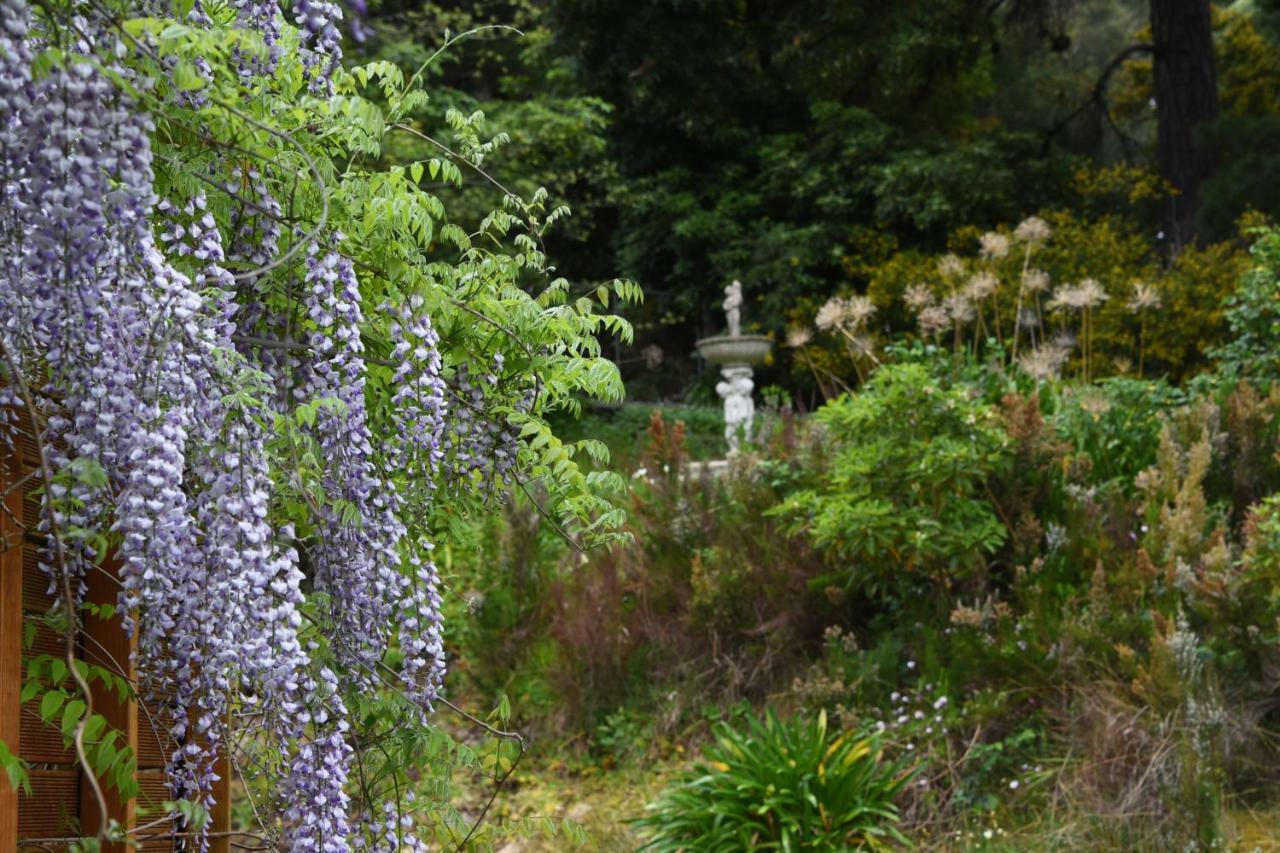 Yarra Ranges Country Apartment Mount Evelyn Extérieur photo